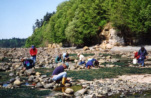 A group of people scattered across a sunny Southern Vancouver Island beach.