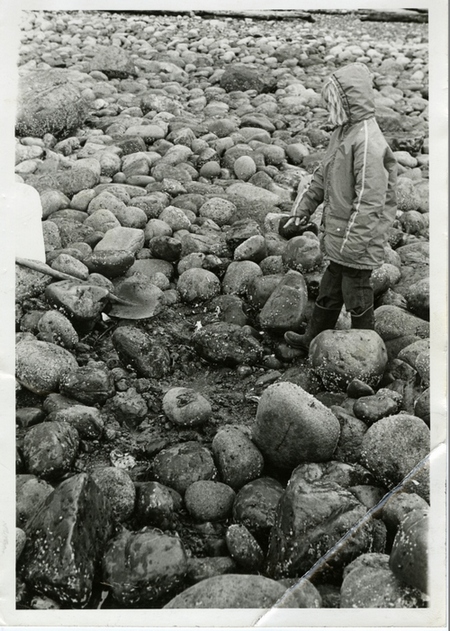 A girl in a windbreaker standing on a boulder-covered beach, pointing down at a spot in front of her where the rocks have been cleared away.