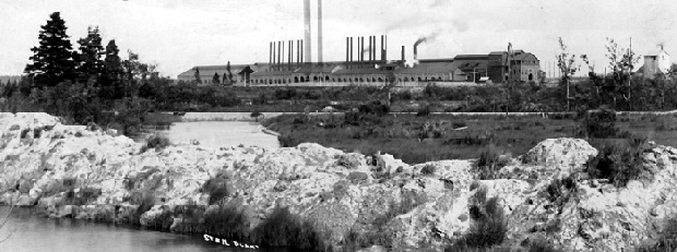 Steel plant with smoke stacks in the background. Shrubs in front of the St. Mary's River in the foreground.
