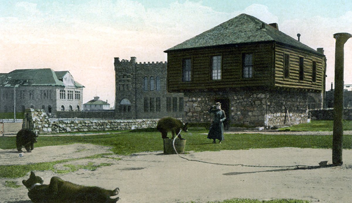 Postcard of the block house, bears chained in the yard, woman in dress walking out from the house. Machine Shop in the background.