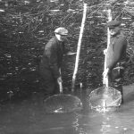 Fish weir at the island