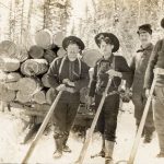 Life in a logging camp