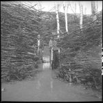 Maurice and Flavius Ouellet