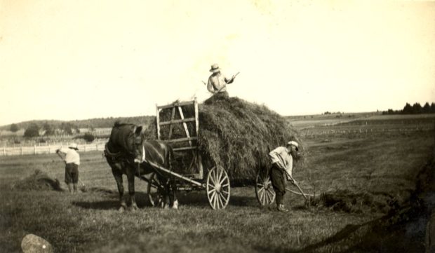 Sepia photograph: horse pulling a hay-filled cart in a field. A man sits on the hay, holding a handle. Another man works on the ground with a pitchfork. To the left, a third person standsnext to a pile of hay.