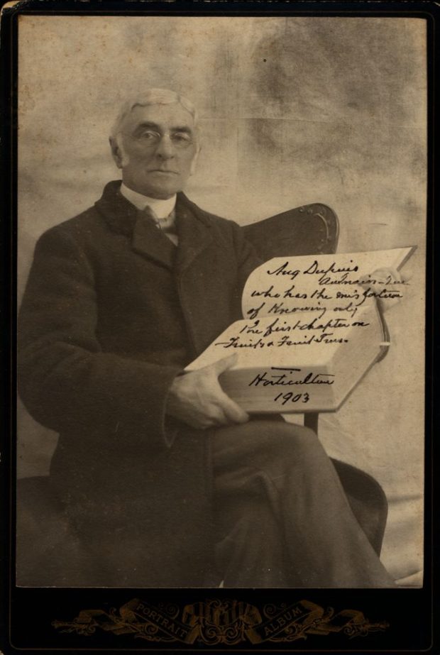 Sepia portrait: seated elderly man, light gray hair, dark suit holding an open book on his lap. Right page of the book: handwritten inscription Aug. Dupuis, Horticulturist, 1903, mention of circulation/publication. Neutral dark background. Decorative black frame with gold motifs, inscription PORTRAIT ALBUM (bottom).