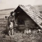 Bread oven with a shelter