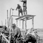 Building a fish weir in 1936