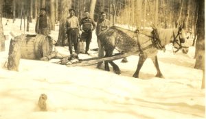 Sepia photograph: transporting maple sap in snowy winter woods. Four men in a snow-covered forest (bare maple trees). Right: a horse is harnessed to a wooden sleigh (large wooden barrel lying down).