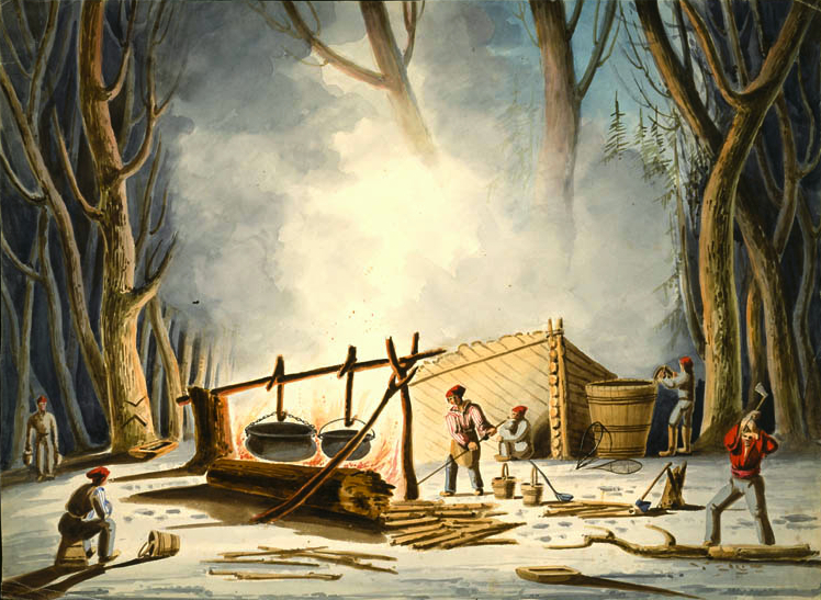 Watercolour by Bainbridge, Making Maple Sugar, Lower Canada, (around 1837). Under a rudimentary shelter (trunks/branches), two large cauldrons boil over a fire. Figures in winter clothing handle buckets and tools. Right: large wooden barrel. Background: forest of slender maples.