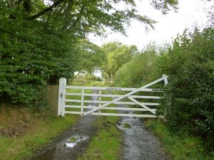 A large closed white wooden gate with “Leasefields” written on it sits in the foreground. The gate is blocking the pathway of a gravel country road that runs through a wooded area.