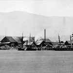 The Hastings Sawmill, 1872
