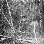 William Henry Vanetta and another man logging