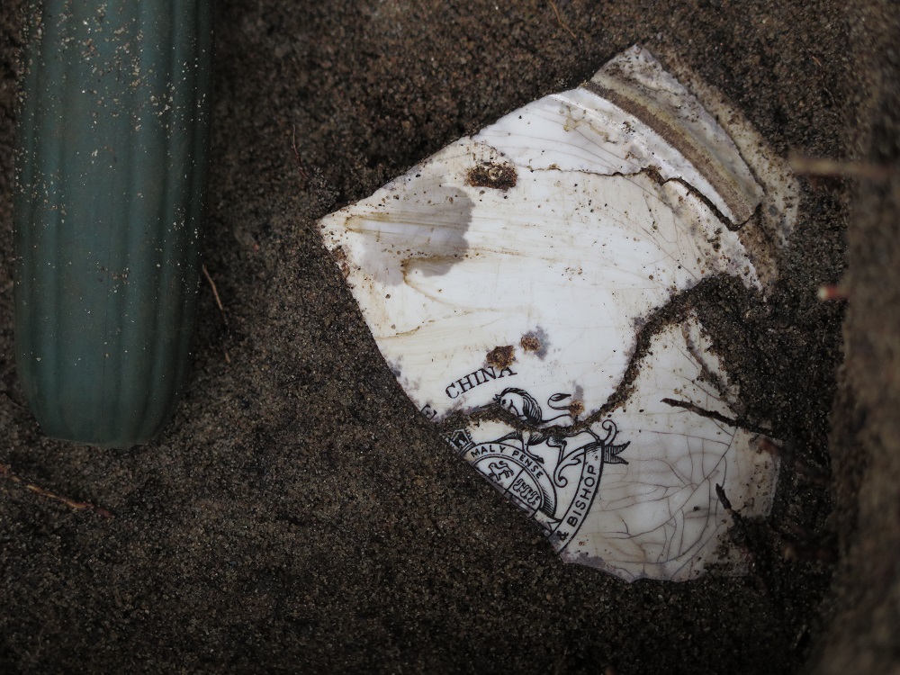 remains of white ceramic in the ground