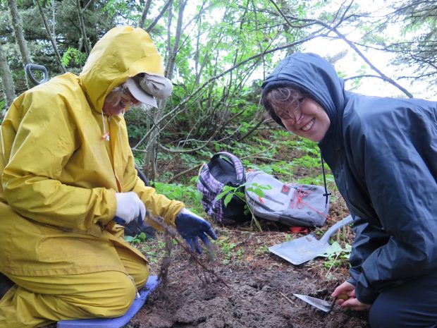 Two archaeologists around a survey