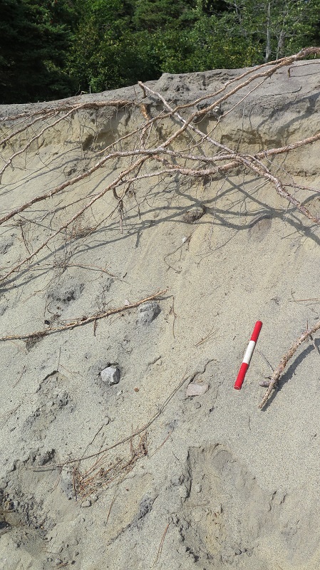 Eroded soft sand bank