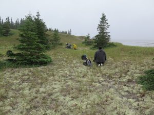 The team looking for an archaeological site, on the bank of the Outardes River.