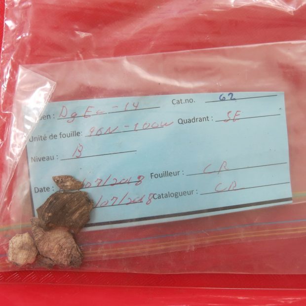 Bag containing shells and a paper label.
