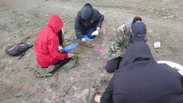 four archaeologists excavating in 4 different squares