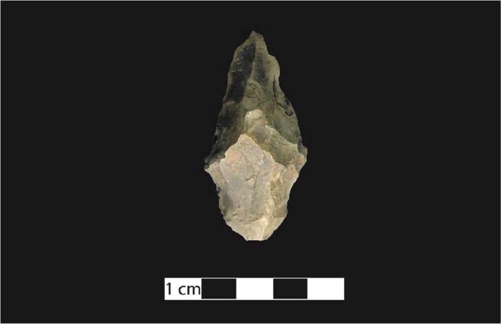 Projectile point in stone