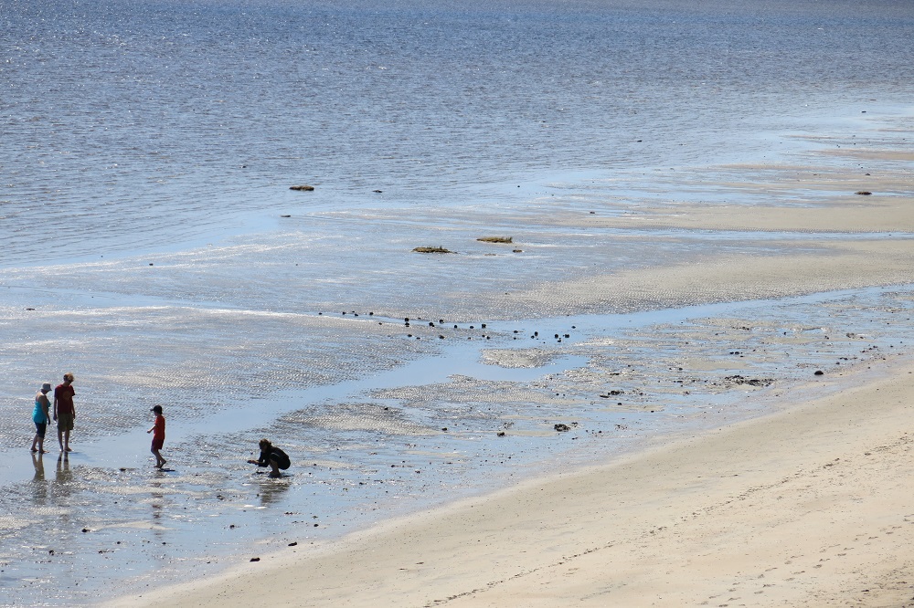 Beach with remains of fascines and four people