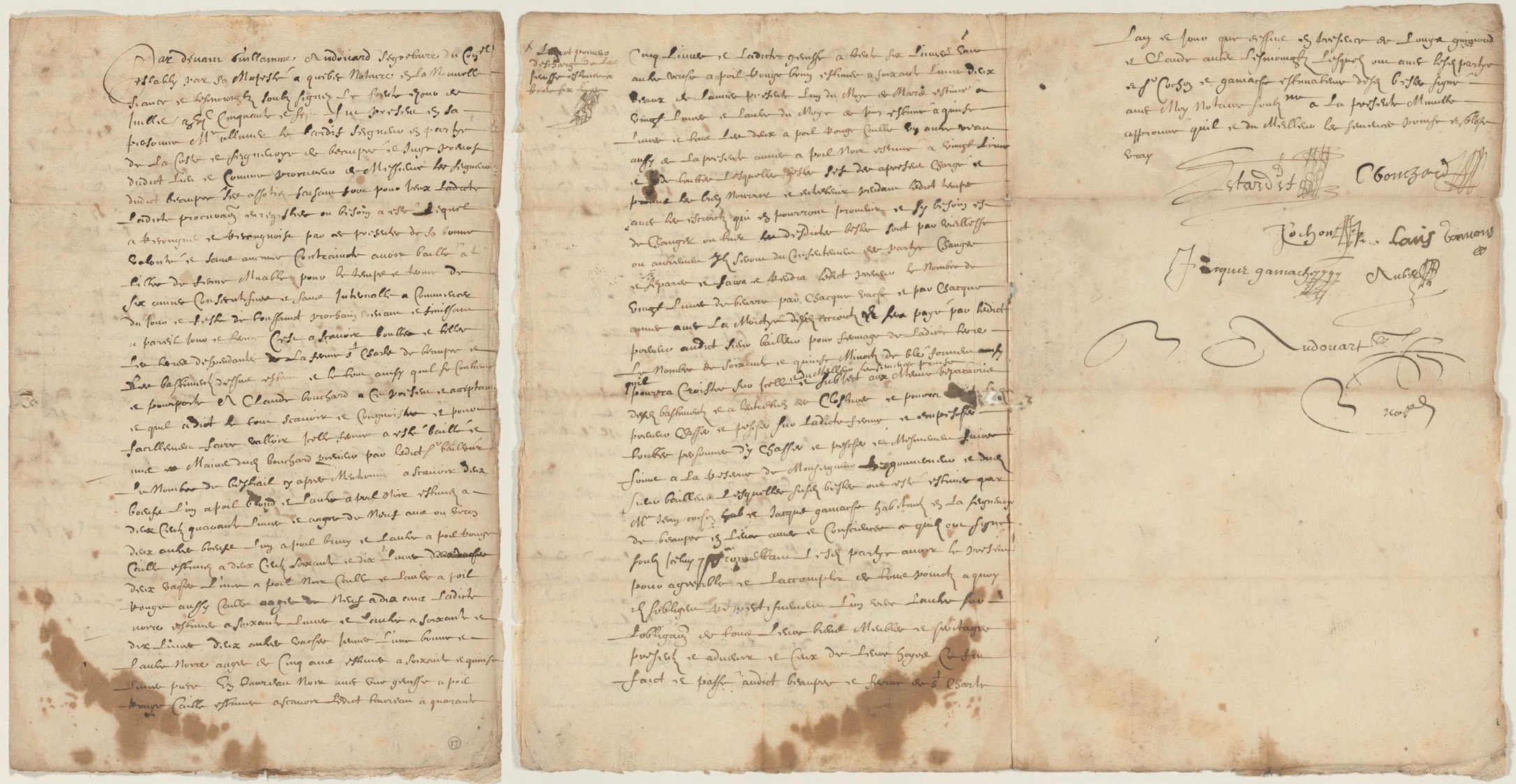 Three-page archival manuscript document describing the lease of a land concession to Claude Bouchard by Olivier Letardif. The text, penned in ink, contains a number of signatures at the bottom. The paper itself is yellowed and stained in places.