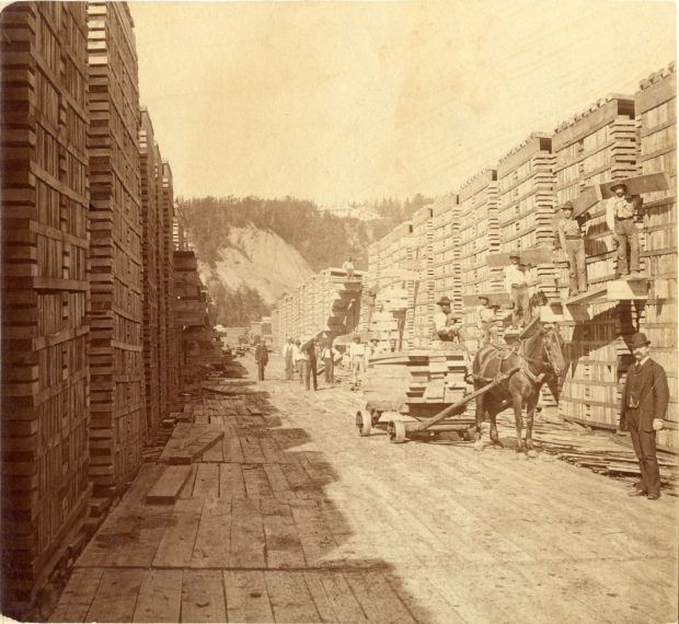Sepia archival photos showing stacks of timber several metres high, forming a long corridor bustling with activity. Some of the workers are busy transferring planks from a horse-drawn cart to the top of one of the piles. In the forefront, on the right, a man in a suit and tie is looking at the camera.