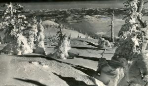 Arbres enneigés épars à flanc de montagne avec plusieurs montagnes en arrière-plan.