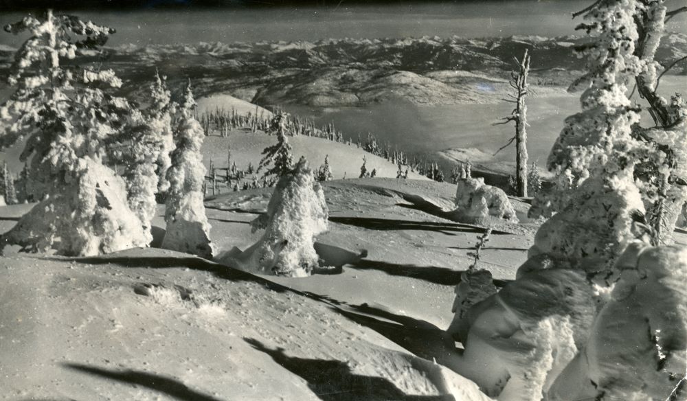 Mountain slope with snow covered trees scattered sparsely over it and several mountains in the background.