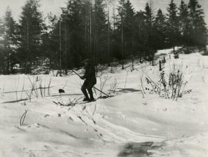 A man on skis holding a long pole stretched out behind him.