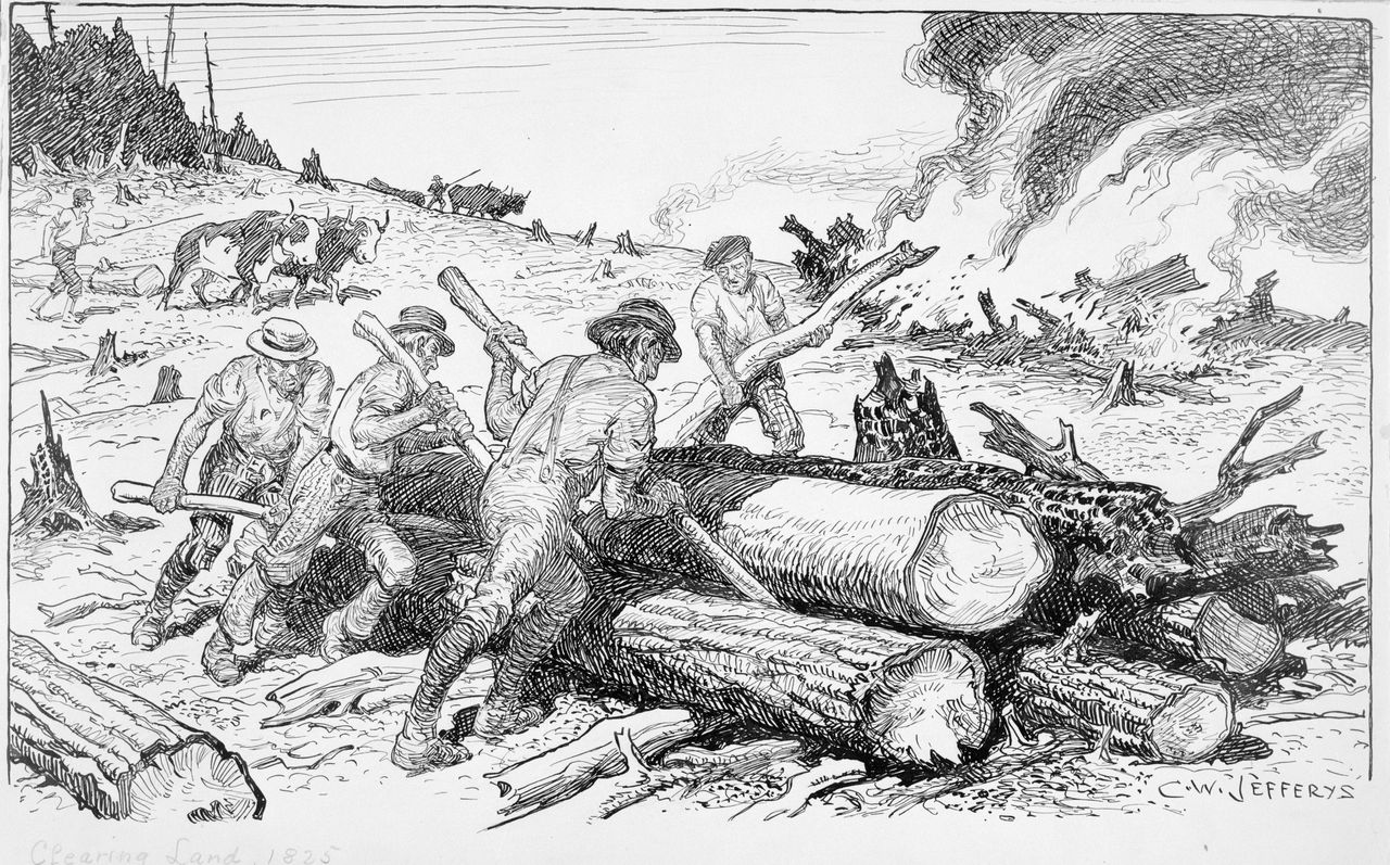 Black and white drawing of several men working to clear land. They cut trees, transport them with animals, and burn the stumps.