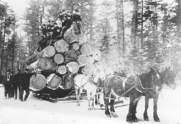 Four horses pull a load of enormous tree trunks where twenty people are sitting.