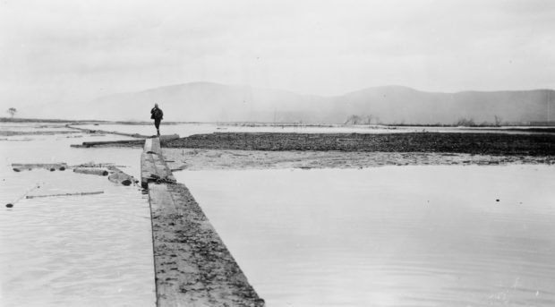 A man is standing on a boom in the middle of the misty waters of the Saint-Maurice.