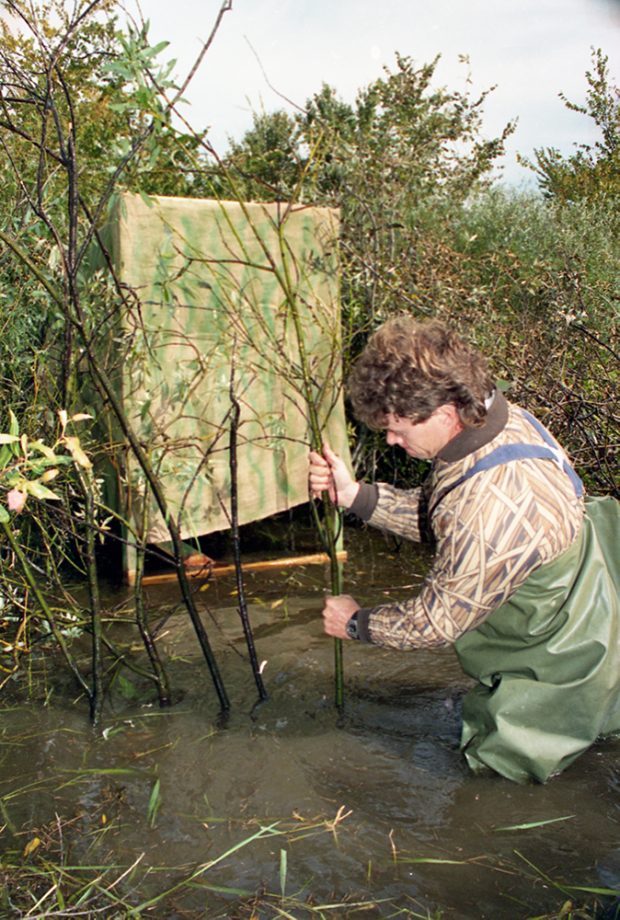 A hunter with water up to his thighs drives small trees into the banks of a river. He’s trying to camouflage a blind made of canvas.