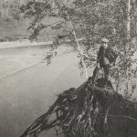 Putting Down Roots in Mauricie