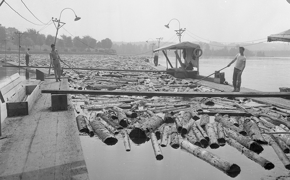 Standing on booms, drivers sort the many logs on the river with poles.