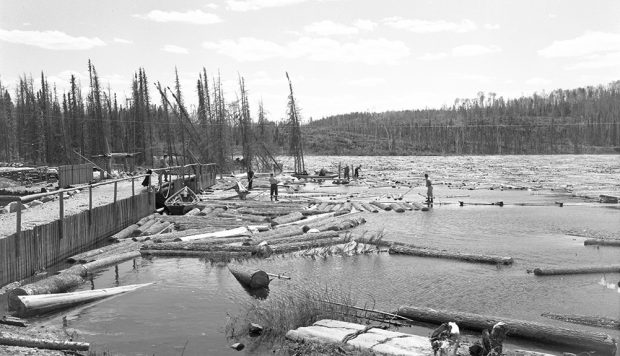 On a lake in the middle of the forest, men guide the logs to an opening in the middle of a dam made of earth and wood.