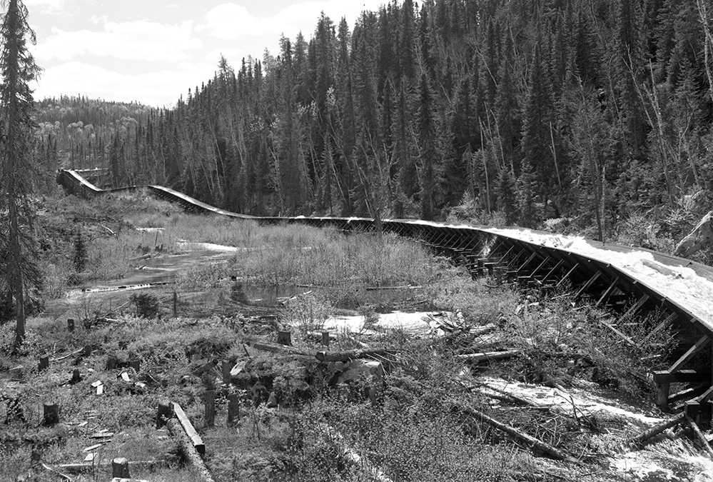 Cette très longue glissoire à billes permet aux billots de traverser un terrain marécageux. 