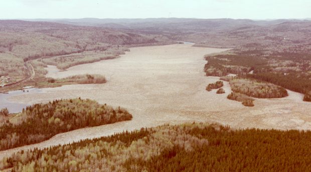 The wide river is entirely covered with logs