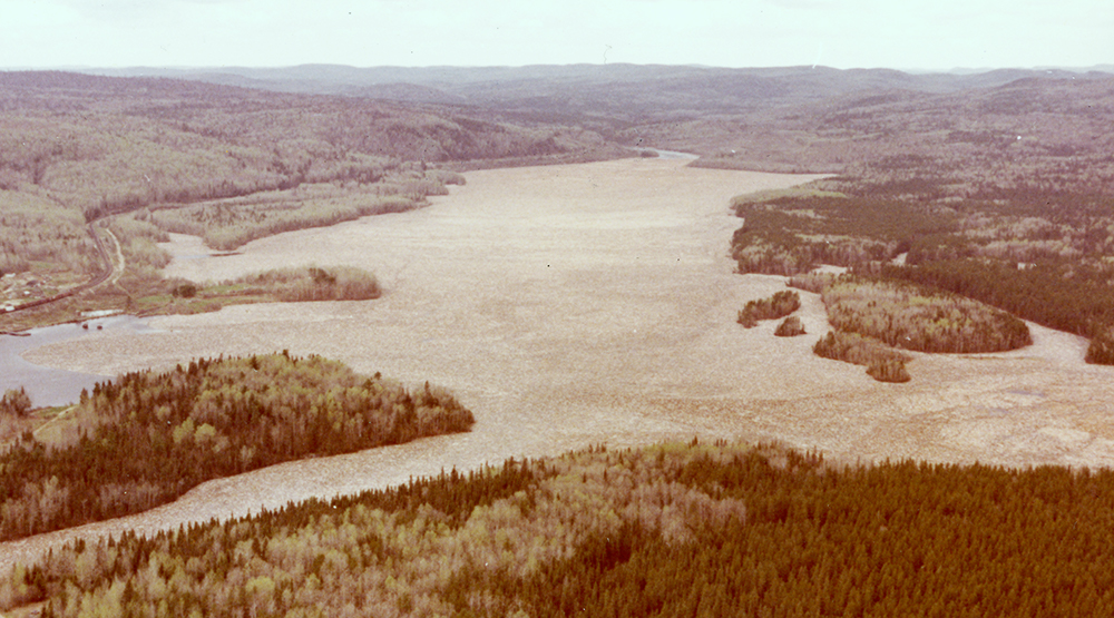 La large rivière est entièrement recouverte de billes de bois