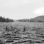 A River of Wood