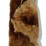 Beaver Fur