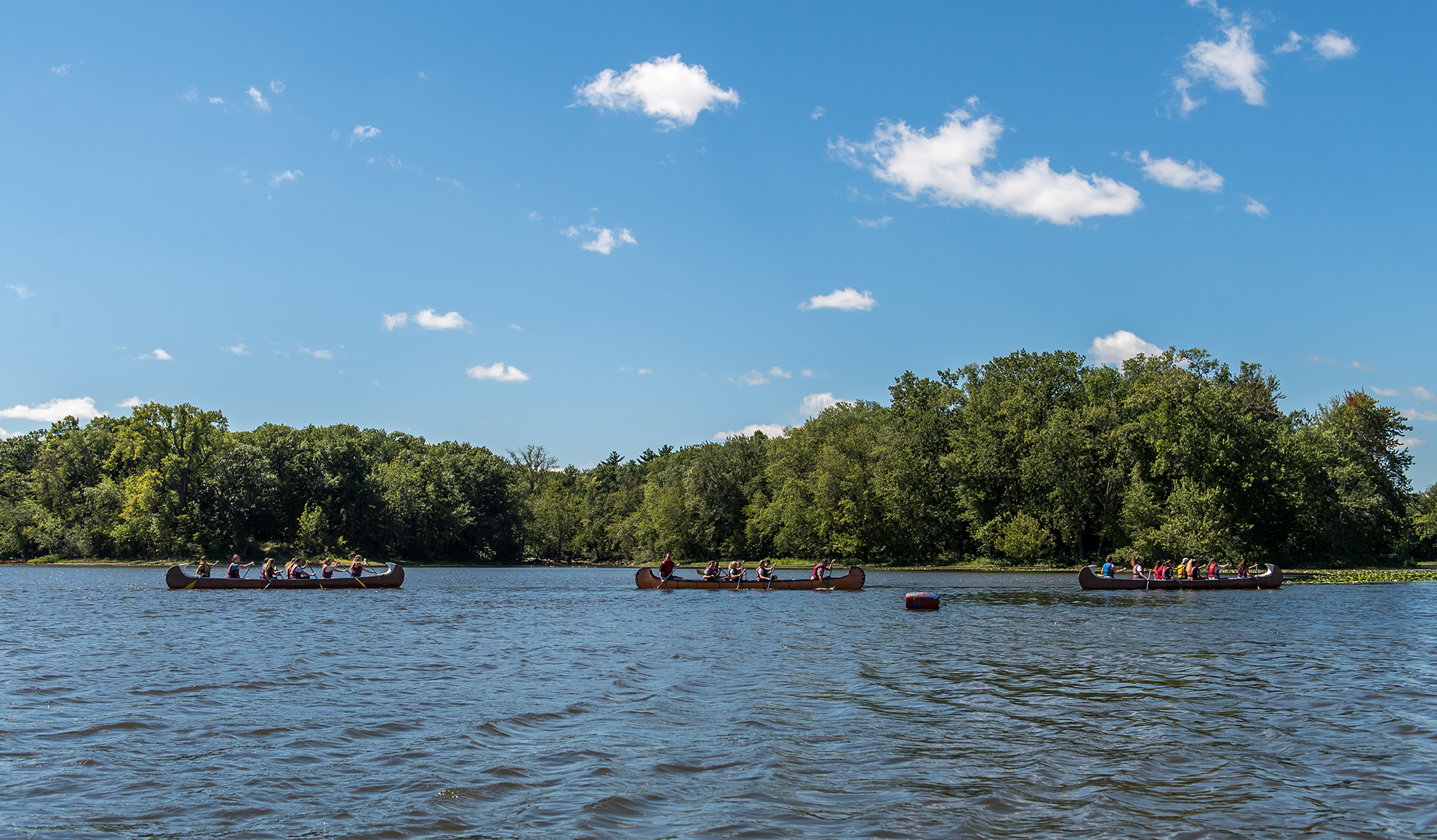 Colour photograph of a line of three canoes on a river. There are people in the canoes. A lush wooded area can be seen on the shore.