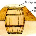 Barrel Cellars
