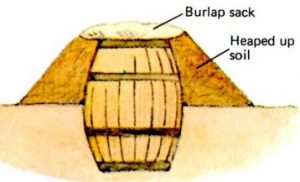 Cartoon wooden barrel partially in the ground with the top opening covered.