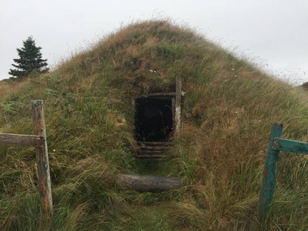 Wood square hole in the center of a large grassy mound with one log step in front.