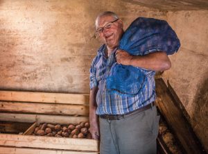 Man standing in root cellar in front of wood pounds filled with potatoes.