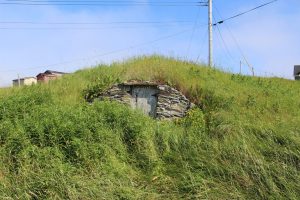 Cave à légumes à flanc de colline, avec sa porte carrée en bois, et pierres empilées dans des herbes hautes.