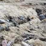Newman and Company Root Cellar, Harbour Breton, Newfoundland