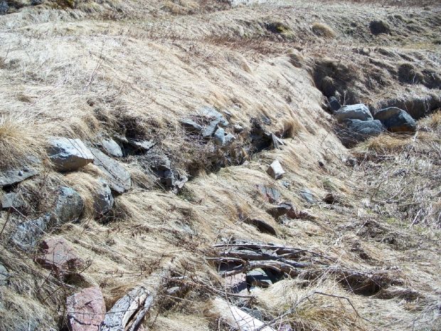 Crumbled remains of a stone lined root cellar foundation in a grassy field.