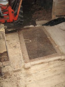 Grate covered hatch entrance to a root cellar.